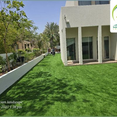 Lawn beside the villa