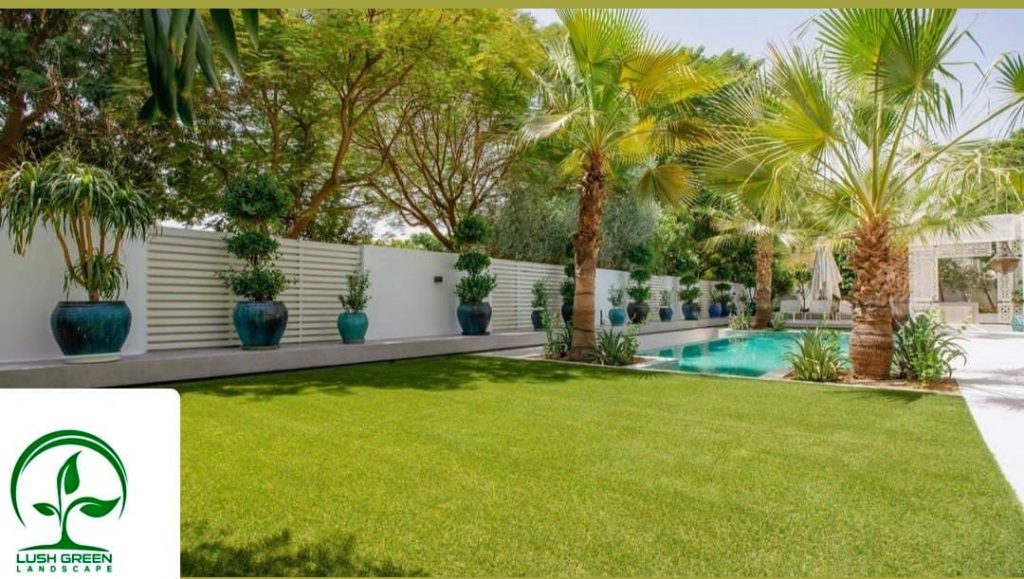 Lawn & boundary planting