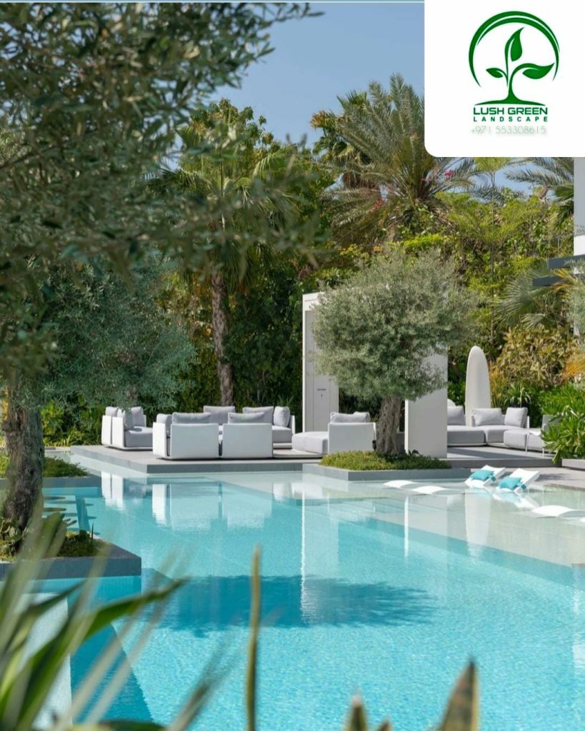 Pool & planted borders