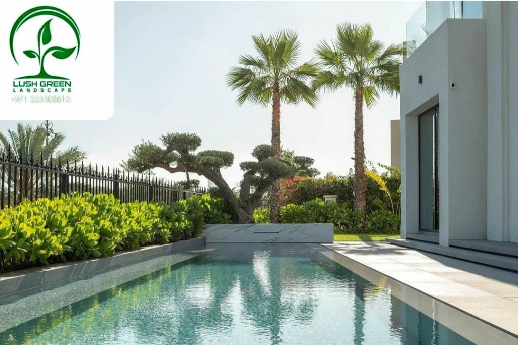 Poolside clipped planting