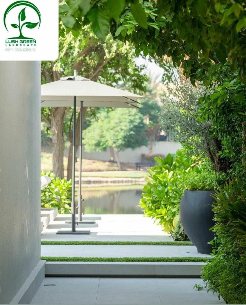 Shaded planted walkway