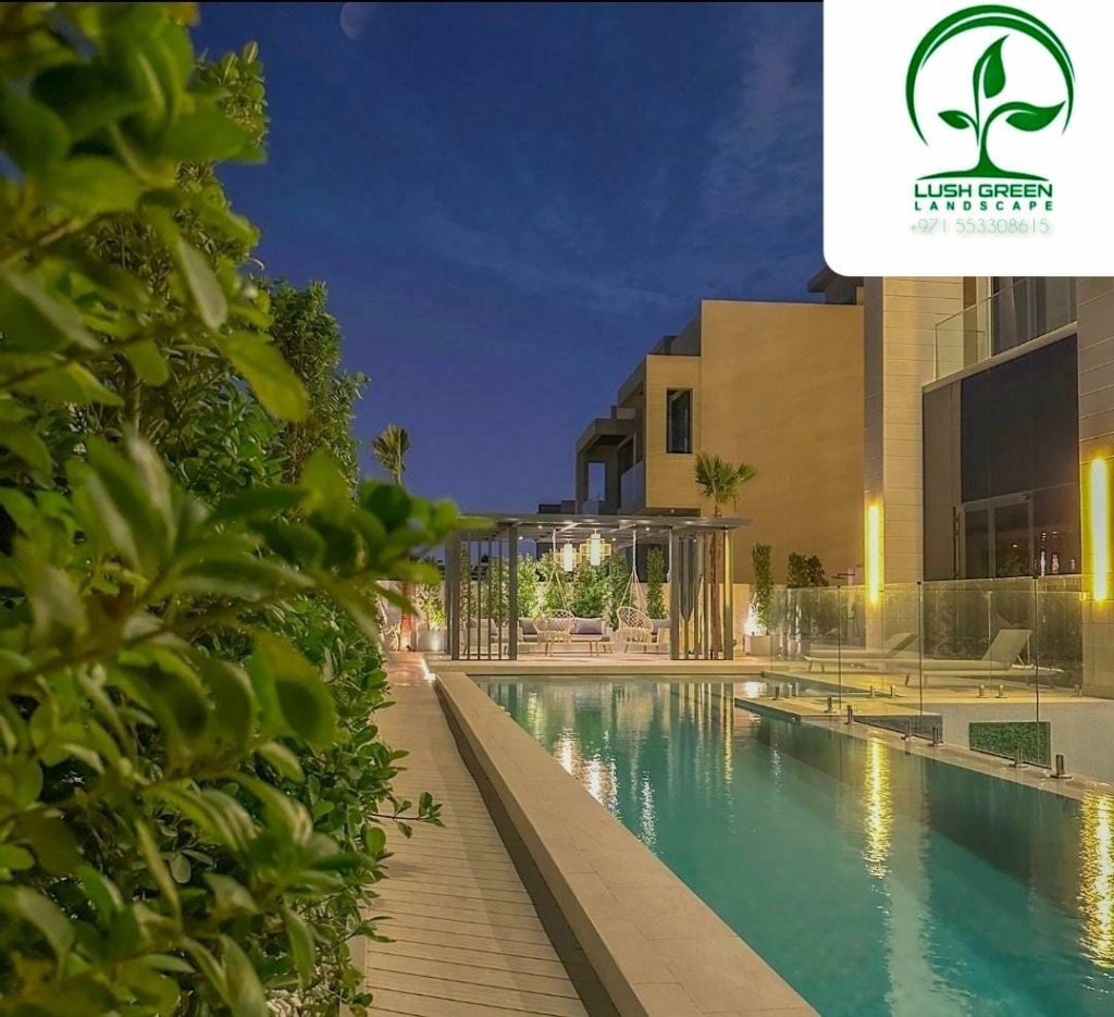 Pool & landscape lighting