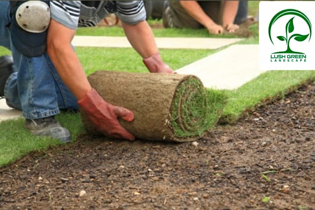 Natural Turf & Artificial Grass Installation